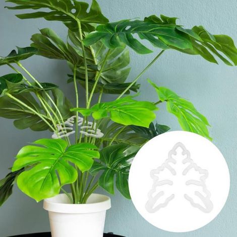 Tige support plantes - Acrylique transparent Support pour plantes à feuilles - Plantes intérieur et extérieur - Transparent (1/5)