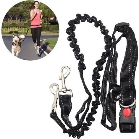 Running laisse laisse pour animaux de compagnie (noir avec l'assurance de la boucle)