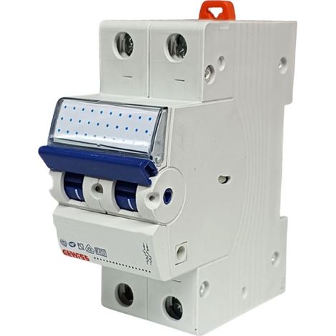 Gewiss GW92048 Thermomagnetischer Schutzschalter, 2-polig, C20, 6 kA, 2 m (1/2)