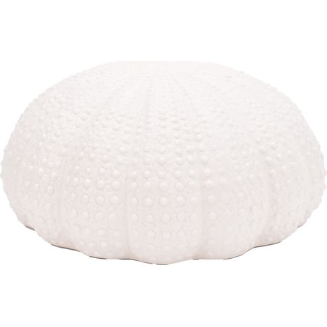 Signes Grimalt Coral Figure Jarrones et Portavelas Figure marine blanche - 12x25x25cm (1/2)