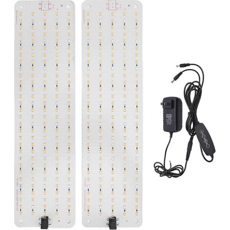 Multifunktionale 12V LED-Pflanzenlampe mit 6 Helligkeitsstufen für Büro und Zuhause (US-Stecker)