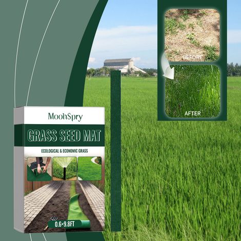Herbaceous ecological mat, plant herb seed cultivation and planting, landscape optimization and beautification lawn mat -- 0.69.8FT -- BIEMMEDUE (1/5)