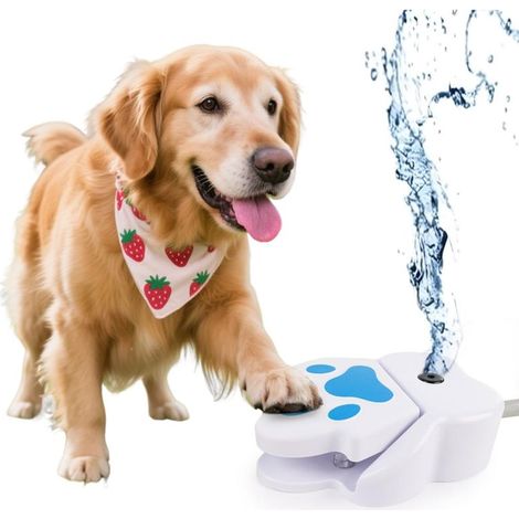 Beyamis Distributeur d'eau extérieur pour chiens, motif empreintes de pattes bleues et blanches, jet d'eau interactif (1/5)