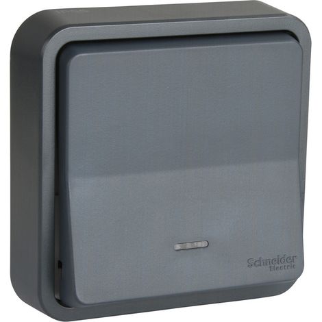 Schneider Electric – Bouton poussoir encastré IP55 – Étanche et résistant IK08 – Montage affleurant – Polycarbonate robuste pour environnements humides