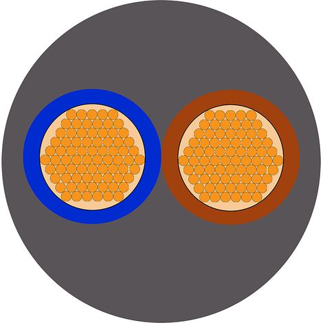Câble d'alimentation RS PRO 2x0,75 mm², gaine PVC, 100 ( Prix pour Bobine de 100 Mètres )