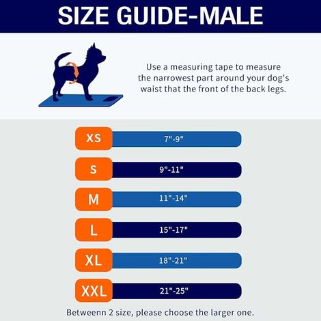 Bandeaux ventraux pour Chiens mâles – Couches réutilisables pour Chien mâle pour Chiot – Enveloppements lavables pour Chien mâle (Taille L, Petits Animaux) (1/4)