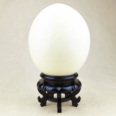[Support de présentation] + Socle sculpté spécial pour œufs décoratifs ABS Hauteur 7.6cm x Diamètre 7.1cm, 5 pieds stabilisés (1/4)