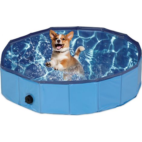 Blauer Hundepool (1/5)