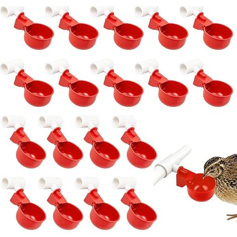 abreuvoirs automatiques pour poulet, canard, oie, dindes, pigeons, oiseaux (1/5)
