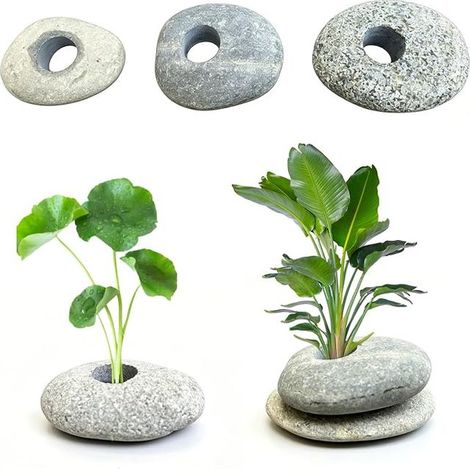 2 cm Öffnungsgewichte für Aquarienpflanzen (1/5)