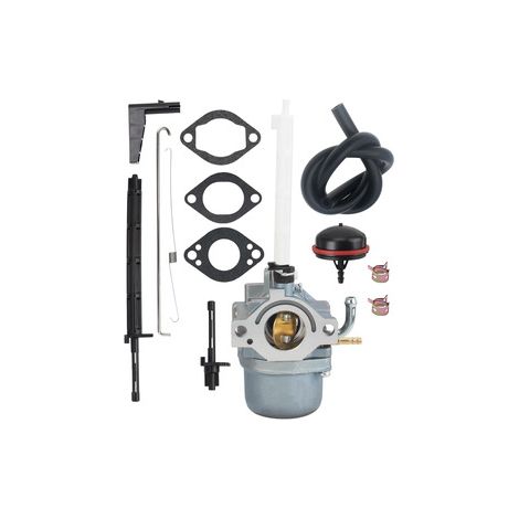 793784 796122 Carburateur pour souffleuse – Réf. 20M107 20M113 794593, modèles 696737 793161, déneigement efficace (1/5)
