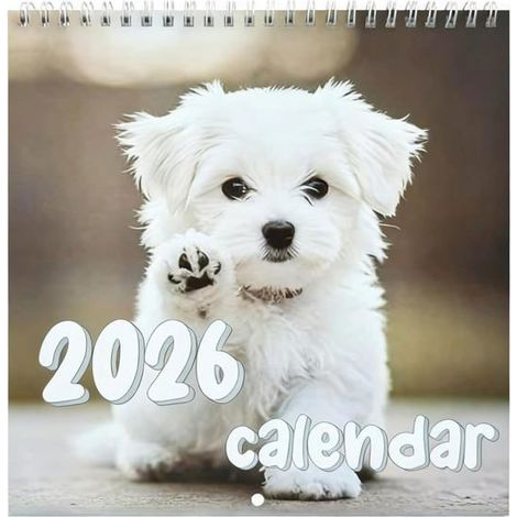 Calendrier mural 2026 - Janvier 2026 à décembre 2026 - Calendrier mural avec motif chiot - Mois en pleine page -3pcs (1/5)