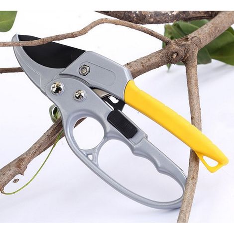 Sécateur de jardin CNKOO, cisailles à branches pour arbres, outil de coupe pour plantes d'intérieur, taille-haies manuel pour fleurs et arbustes, coupe-branches robuste (1/4)