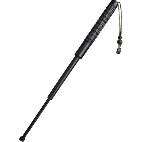 Perche télescopique de 555 mm (avec boîte)