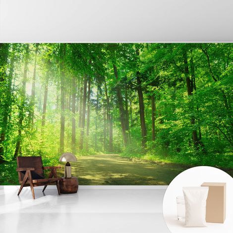 Fototapete - Tapete Vliestapete mit Kleber - Wandtapete Moderne Wandbild Schlafzimmer Wohnzimmer Waldweg 416x254 cm