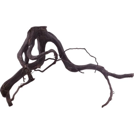 XL Black Spider Wurzel Nr.5278 Fingerwurzel Echtholz Deko Aquascaping