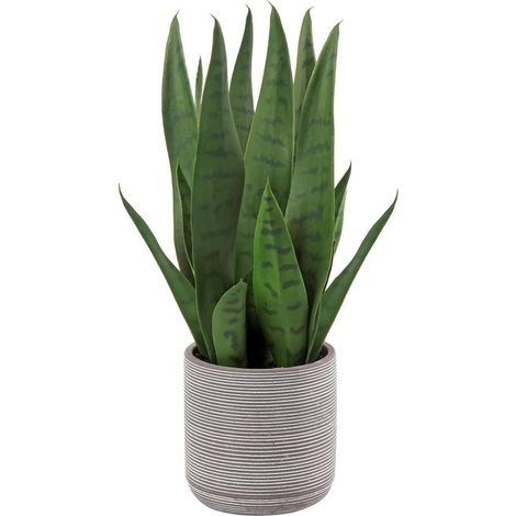 Kunstpflanze Sanseveria Deko-Pflanze 40cm Höhe Zementtopf Dunkelgrün (1/5)