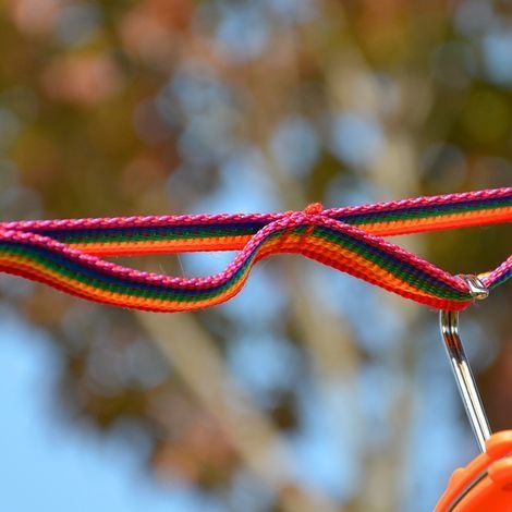 Buntes Zeltband, Outdoor-Zubehör, Hängelampe, Camping-Wäscheleine, geflochtener Gürtel, multifunktionales Band (1/4)