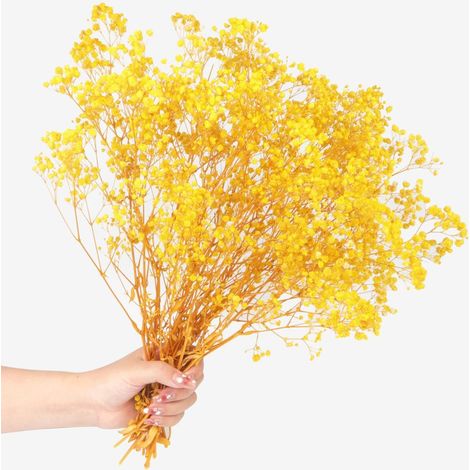 1 pièce gypsophile séchée, fleurs séchées naturelles, décoration intérieure, mariage, cadeau (1/5)