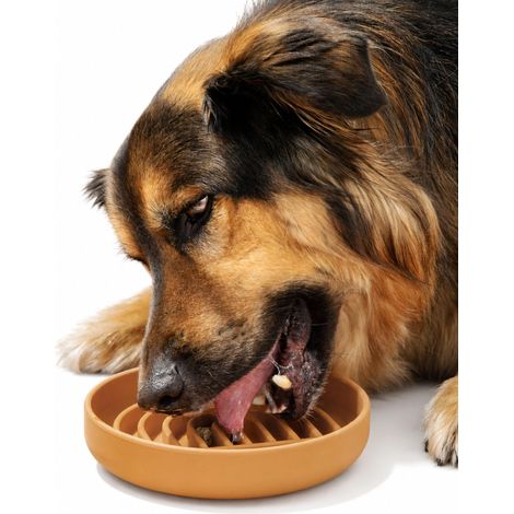 Gamelle pour Chien à Alimentation Lente : Le Bol ralenti est Un Bol Puzzle Moderne en Silicone et Un Tapis à lécher. Mangez Lentement, arrêtez de Avaler, Prenez la facilité. (1/5)