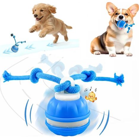 Jouets interactifs pour chiens ZVD - Balle rebondissante interactive - Jouets pour chiens à roulement automatique - Avec sons d'oiseaux en corde (1/5)