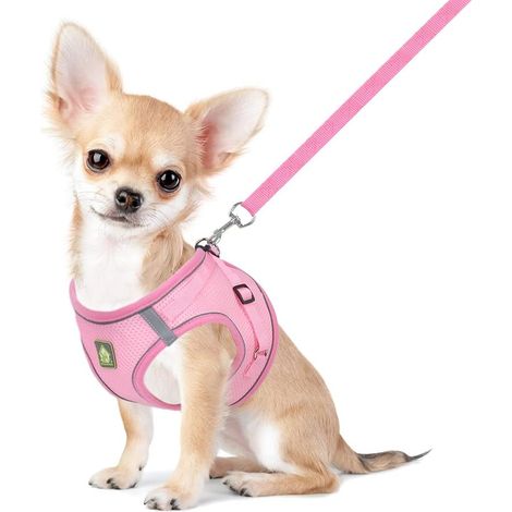 1 Harnais Chien Chat, Mesh Réfléchissant Réglable, Veste Douce, Laisse Incluse, Pour Chiots Tailles Petites Et Moyennes