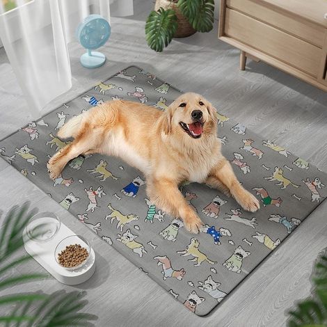 Tappetino rinfrescante per animali domestici 45x60 cm, tappetino rinfrescante in seta di ghiaccio per animali domestici, lavabile e impermeabile per cani (1/4)