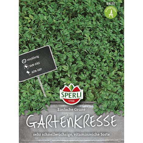 Sperli – Cresson alénois Einfache Grüne – Graines d'aromatiques, annuel, hauteur env. 5 cm (1/2)