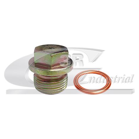 3RG 83524 KIT TAPÃƒâ€œN CÃƒÂRTER Y JUNTA (2PCS)