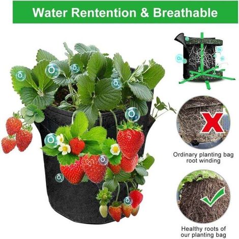 Set di 2 sacchi per la coltivazione di fragole da 10 galloni con 8 tasche laterali per la coltivazione, maniglia rinforzata, tessuto non tessuto traspirante per fragole da giardino, erbe aromatiche e (1/3)