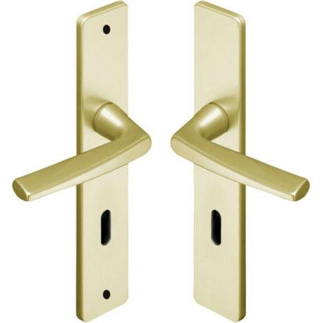 Set de Poignée de Porte sur Grande Plaque RIVIERA - Version Condamnation pour Porte de Salle de Bain et WC - Entraxe 195 mm - Aluminium Résistant - Système de Pose Facile (1/5)