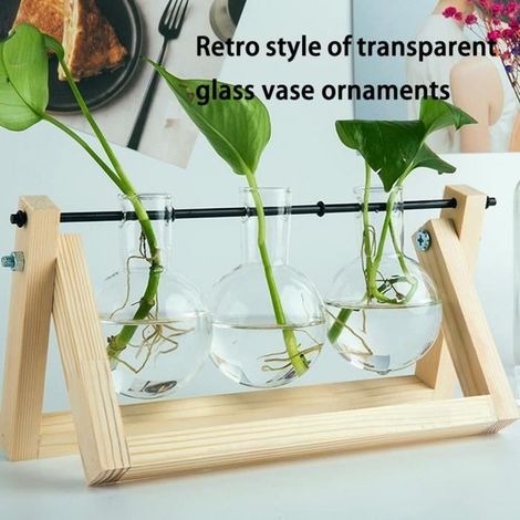Transparent Vase en verre Vase ampoule Avec support en bois et support rotatif en métal Pour les plantes hydroponiques (1/4)