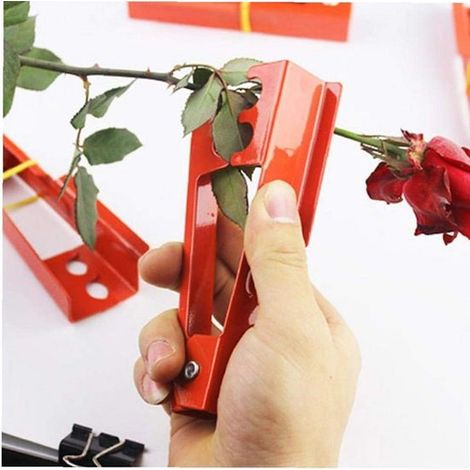 Quitaespinas para rosas - herramienta de floristería - quitaespinas de alta eficacia - 14 cm de largo (1/2)