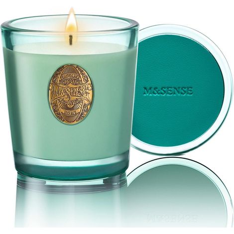 Duftkerze Eukalyptus Minze 260g, Sojawachs, 55h Brenndauer, Geschenk für Frauen & Männer