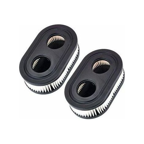 Filtros de aire para cortacésped Briggs & Stratton 798452 593260 5432 5432K,A (1/5)