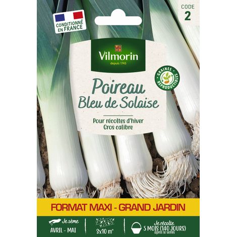 Poireau Bleu de Solaise - Grand Modèle Vilmorin (1/2)
