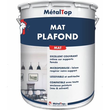 Mat Plafond - Pot 5 L - Metaltop (1/5)
