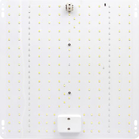 LED à spectre complet plante poussent la lumière maison couleur succulente intérieur vert fleur semis lumières de remplacement (1/4)