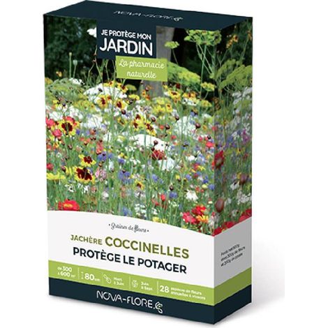 Mélange de fleurs pour prairies fleuries – Attire coccinelles – 28 espèces – Hauteur 80 cm – Semis de mars à juin – Floraison de juin à septembre – Novaflore