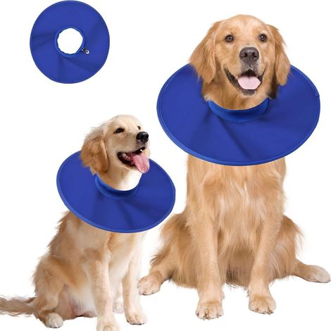 Collerette de protection pour chien et chat (1/5)