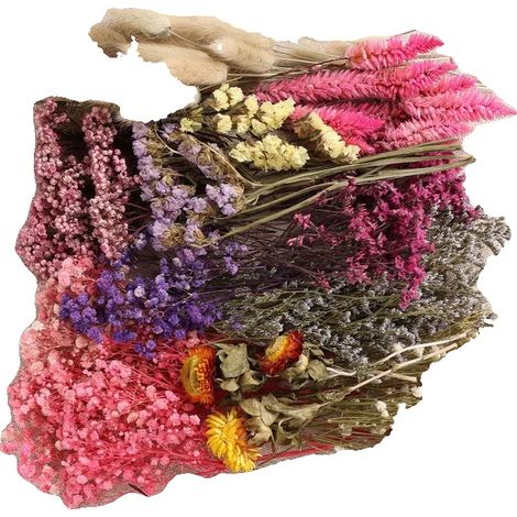 Arreglo de flores secas, decoración natural, decoración de bajo mantenimiento, C (1/2)