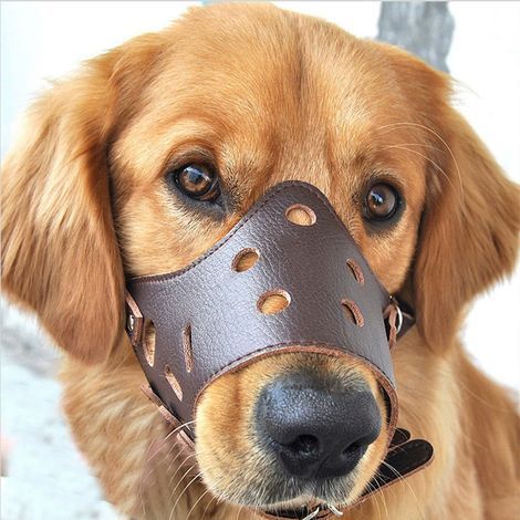 XL-Hundemaulkorb aus Leder (35–55 kg) – Antibell-Effekt – Flexibles und strapazierfähiges Material – Optimaler Tragekomfort für Hunde aller Größen (1/5)