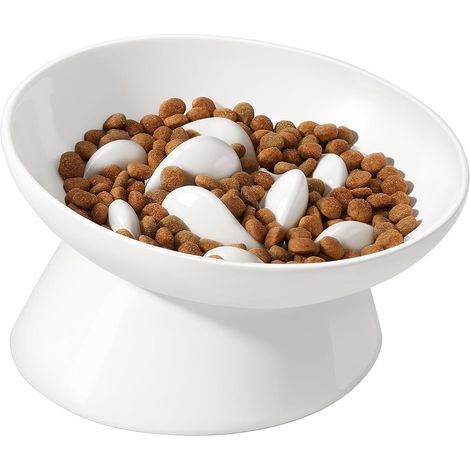 Raised Ceramic Sloped Cat Anti Glutton Bowl (1/5)