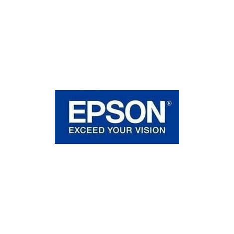 Epson Tanica Giallo C13T591400 (1/2)
