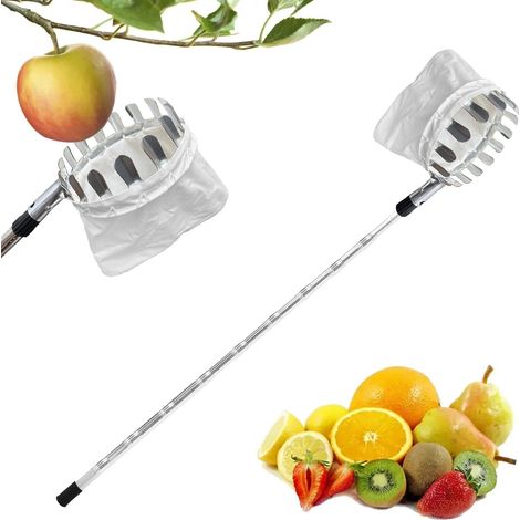 Cueille-fruits télescopique, multi-usages, en acier inoxydable, long bâton de cueillette de fruits, pour vergers, cueille-pommes, cueille-cerises avec sac en coton (acier inoxydable, 4,2 m) (1/5)