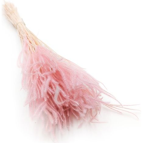 Ouro Stabilisiert - Rosa