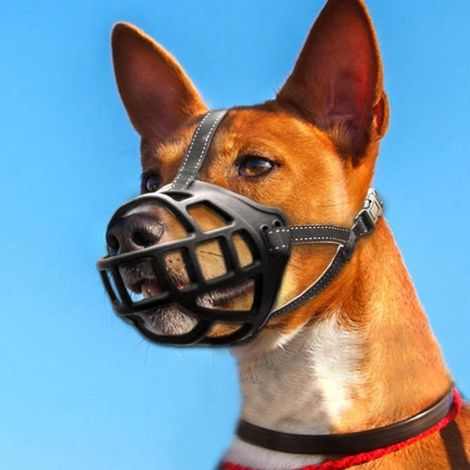 BingoPaw Museau de Chien en Silicone, Muselière Anti Aboiement pour Chiens, 34-37cm pour Moyens et Grands Chiens (1/3)