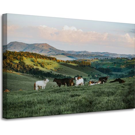 Lienzo impreso Naturaleza, pastos y vacas 90x60 cm