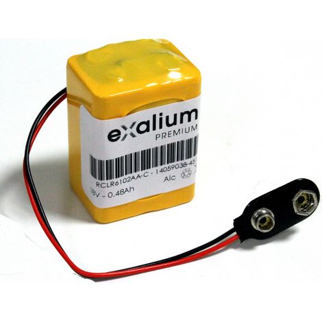 Pile 18V Alcaline 2x LR61 pour Alarme connecteur pression