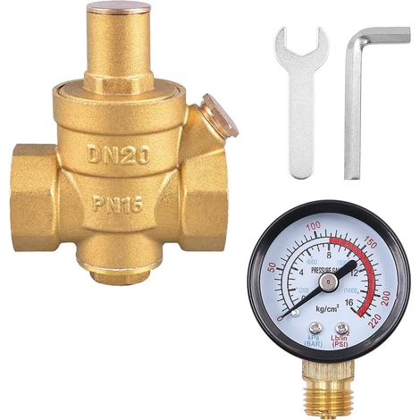 Water Pressure Reducer DN20 Brass Pressure Regulator 3/4" Water with Pressure Gauge Adjustable Water Pressure Reducer Relief Valve (1/5)